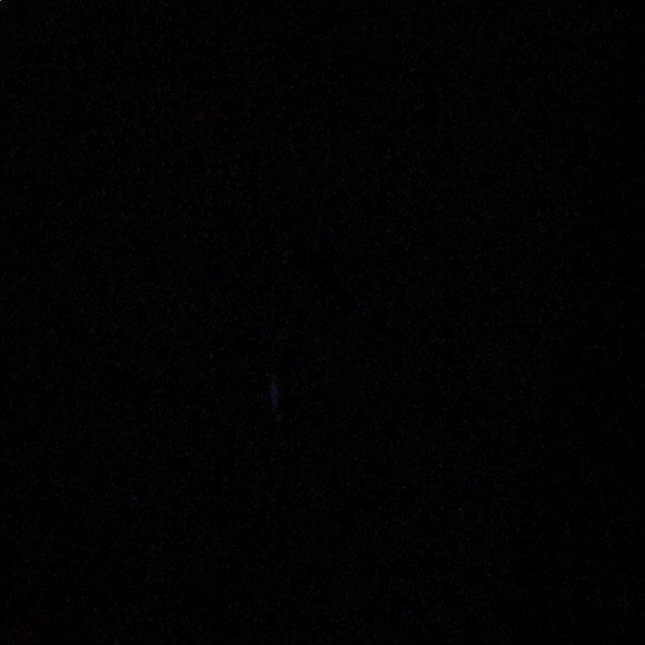 Meet your Posher, Maddie - Picture 1 of 1